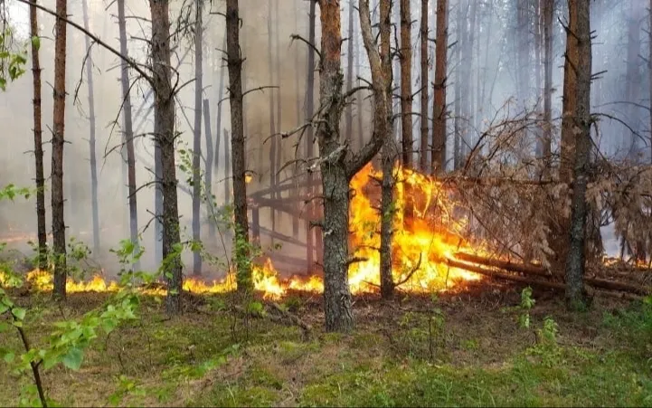Высокая пожароопасность сохраняется!