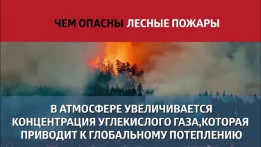 Федеральный государственный пожарный надзор предупреждает!