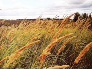 Ожидается аномально жаркая погода со среднесуточной температурой воздуха на 7°С и более выше климатической нормы