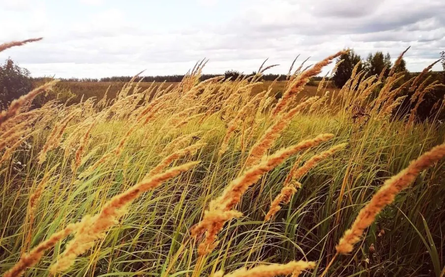 Ожидается аномально жаркая погода со среднесуточной температурой воздуха на 7°С и более выше климатической нормы
