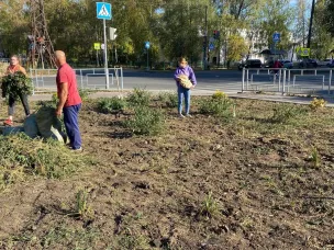 Клумбу привели в порядок!