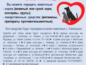 Приглашаем присоединиться к благотворительной акции «Четвероногий друг»