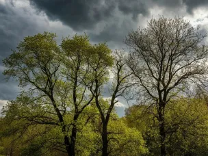 Внимание! Усиление ветра!