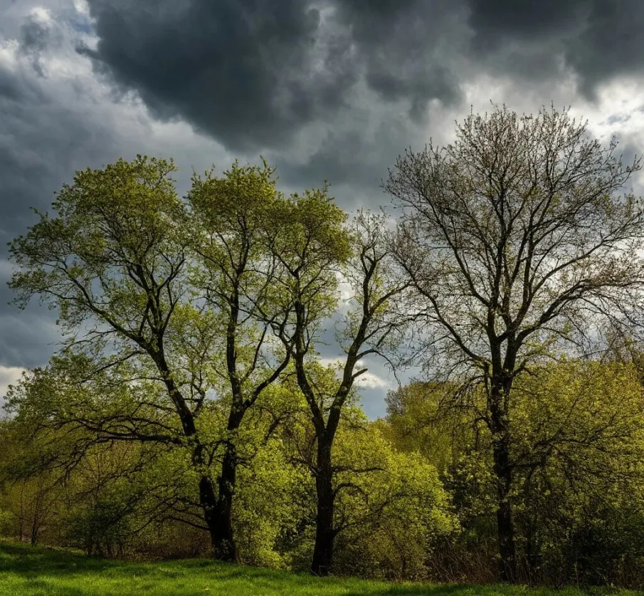 Внимание! Усиление ветра!