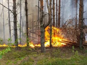 Внимание! В регионе сохранится высокая (4 класс) пожароопасность!