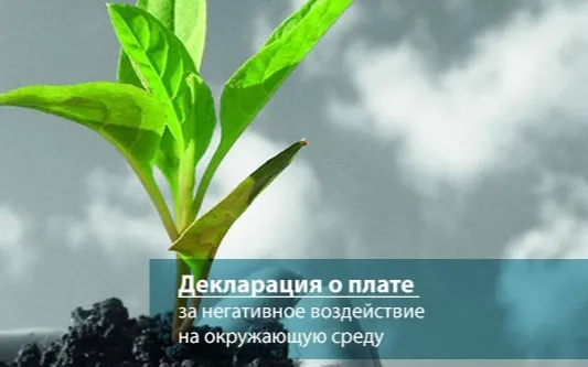 Администрация г.о.г. Кулебаки напоминает о необходимости внесения платы и сдачи деклараций за негативное воздействие на окружающую среду