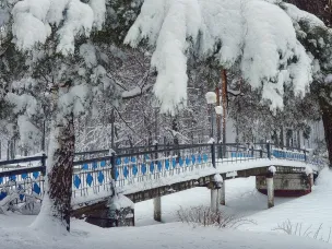 Выбор кулебачан - Парк!