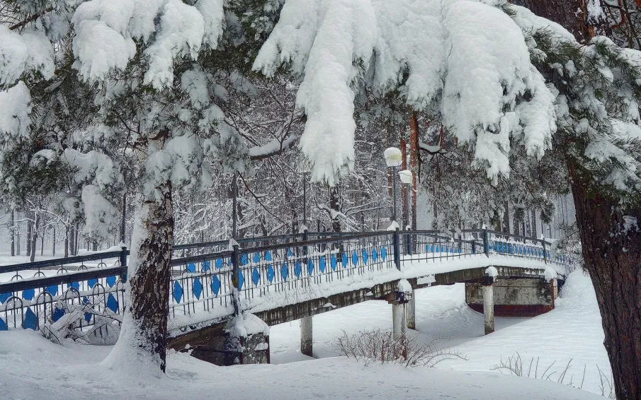 Выбор кулебачан - Парк!