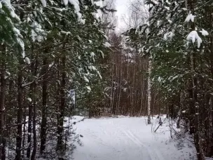 Сильный снегопад накроет Нижегородскую область