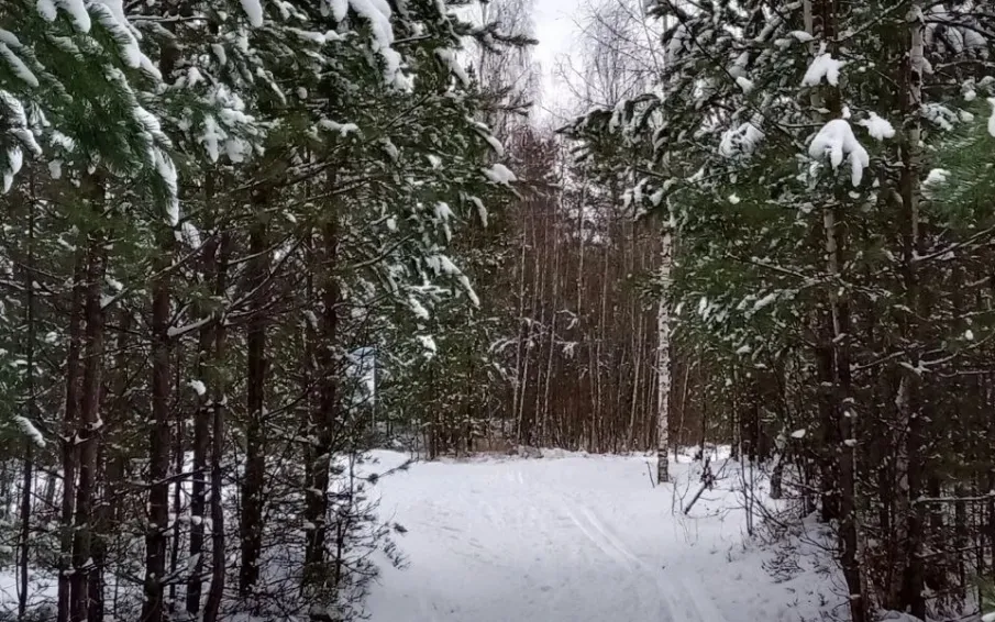 Сильный снегопад накроет Нижегородскую область
