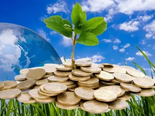 Администрация г.о.г. Кулебаки напоминает о необходимости внесения платы и сдачи деклараций за негативное воздействие на окружающую среду