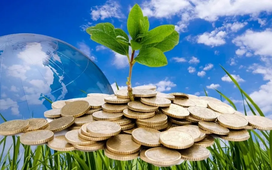 Администрация г.о.г. Кулебаки напоминает о необходимости внесения платы и сдачи деклараций за негативное воздействие на окружающую среду