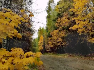Сохранится высокая (4 класс) пожароопасность лесов и торфяников