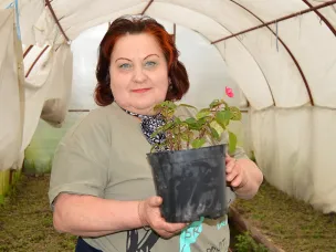 Краски лета. 26 тысяч цветов будет высажено в этом году на клумбы нашего города