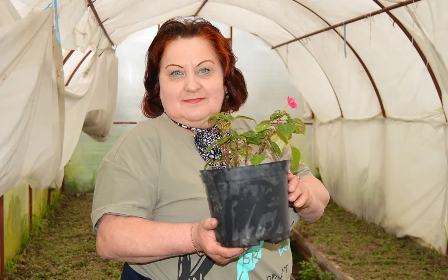 Краски лета. 26 тысяч цветов будет высажено в этом году на клумбы нашего города